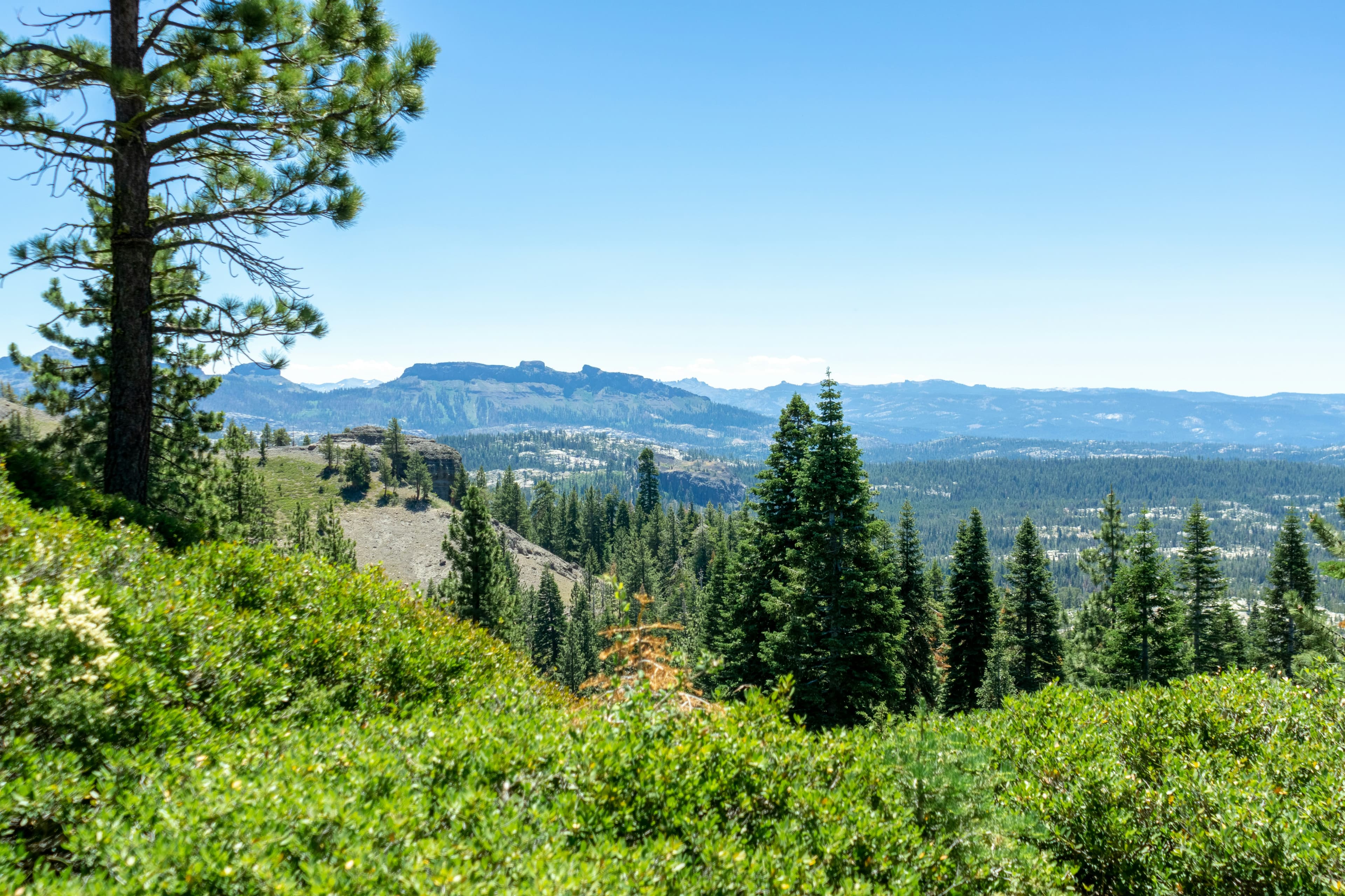Alpine County