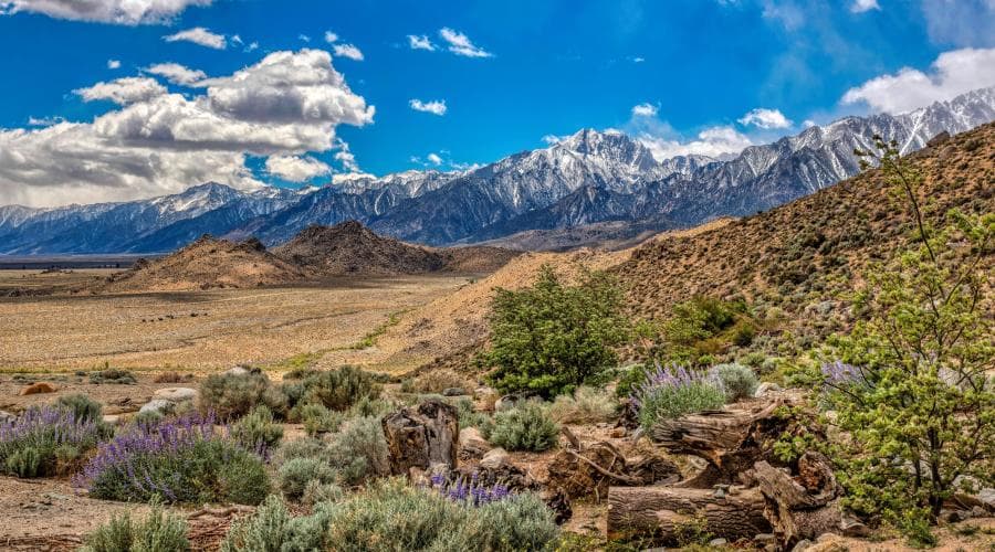 Inyo County