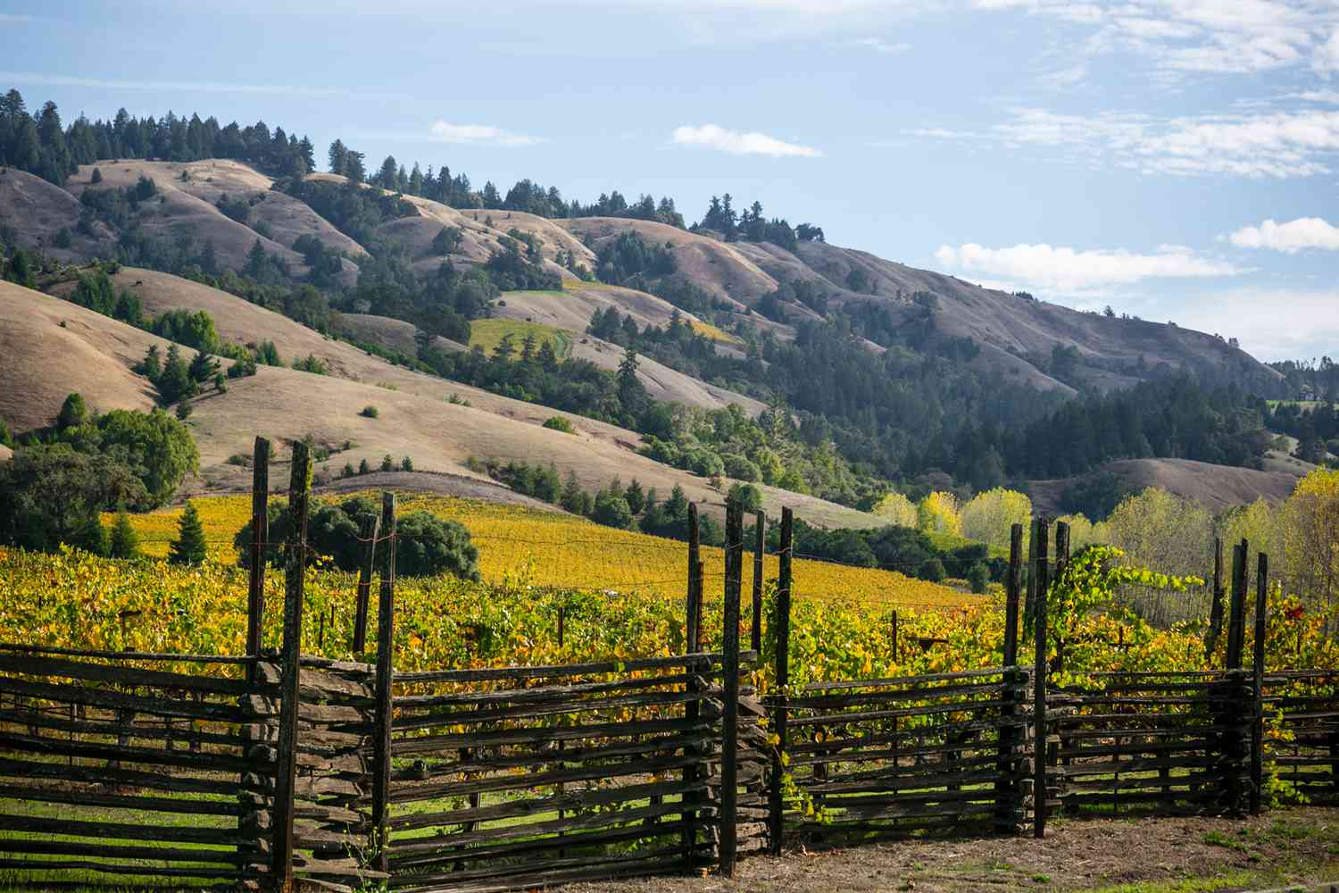 Mendocino County