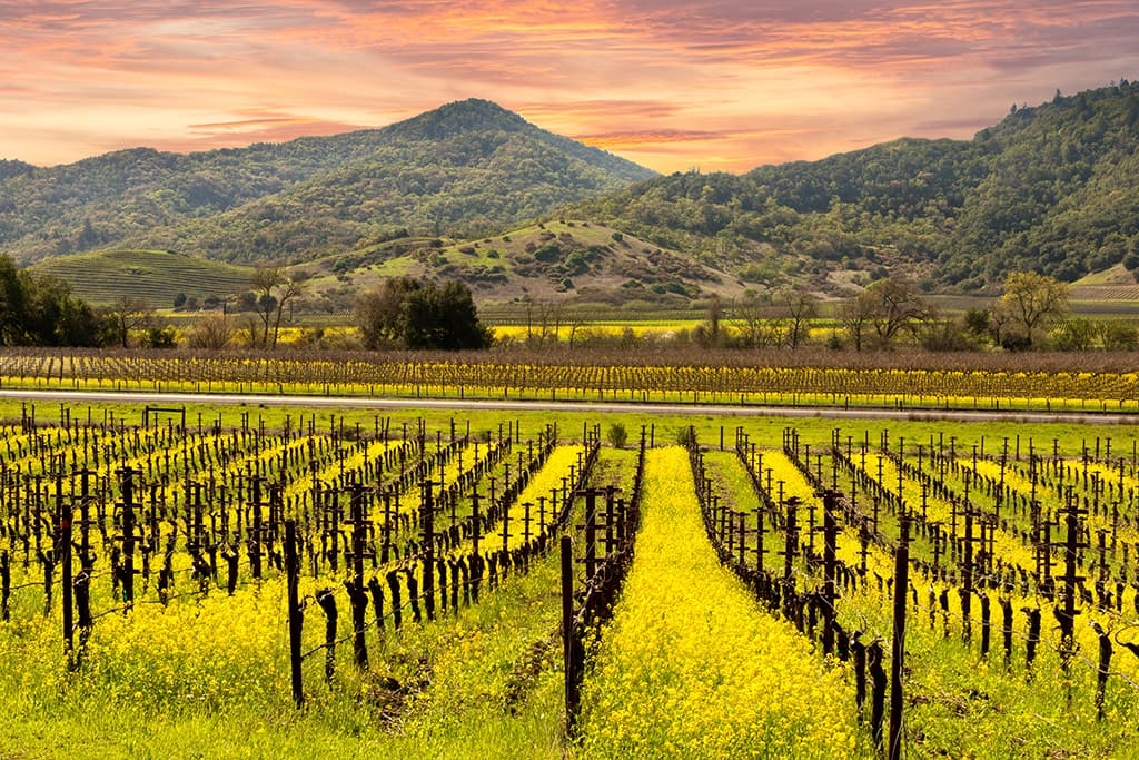 Napa County