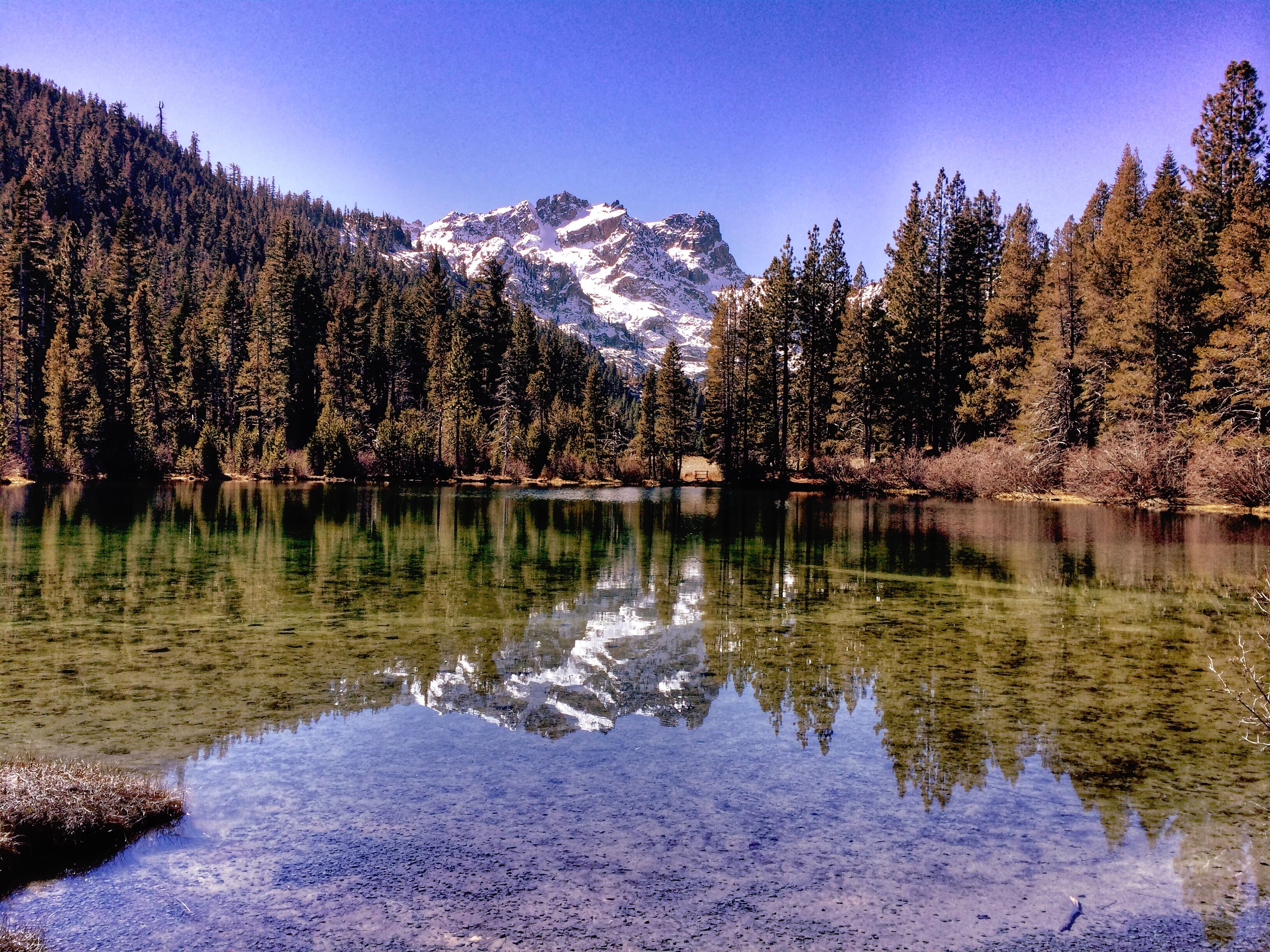 Sierra County