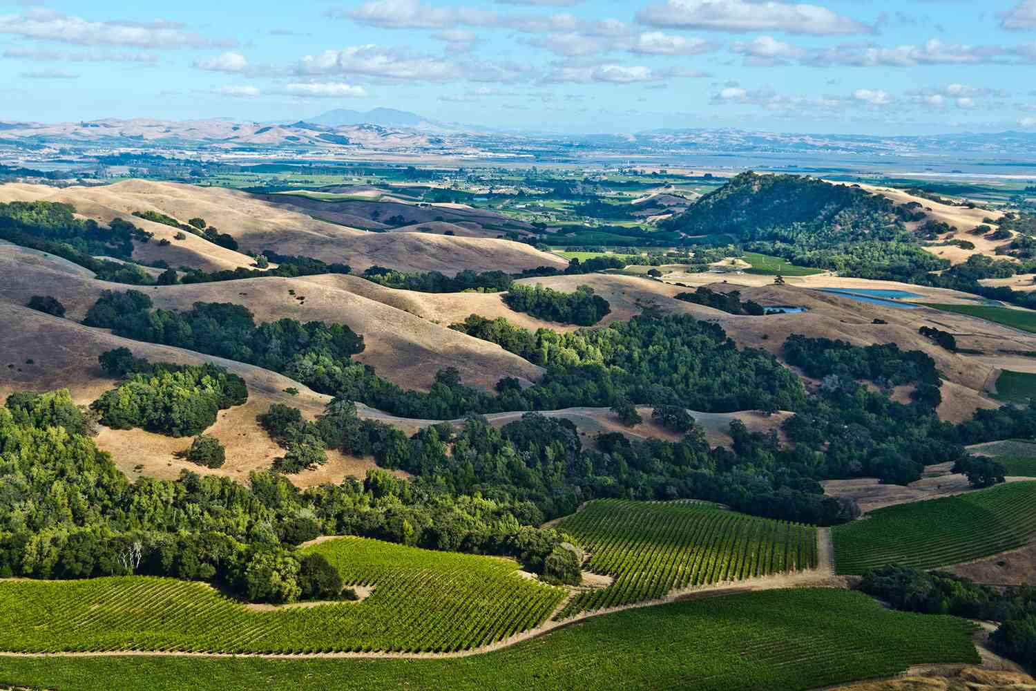 Sonoma County