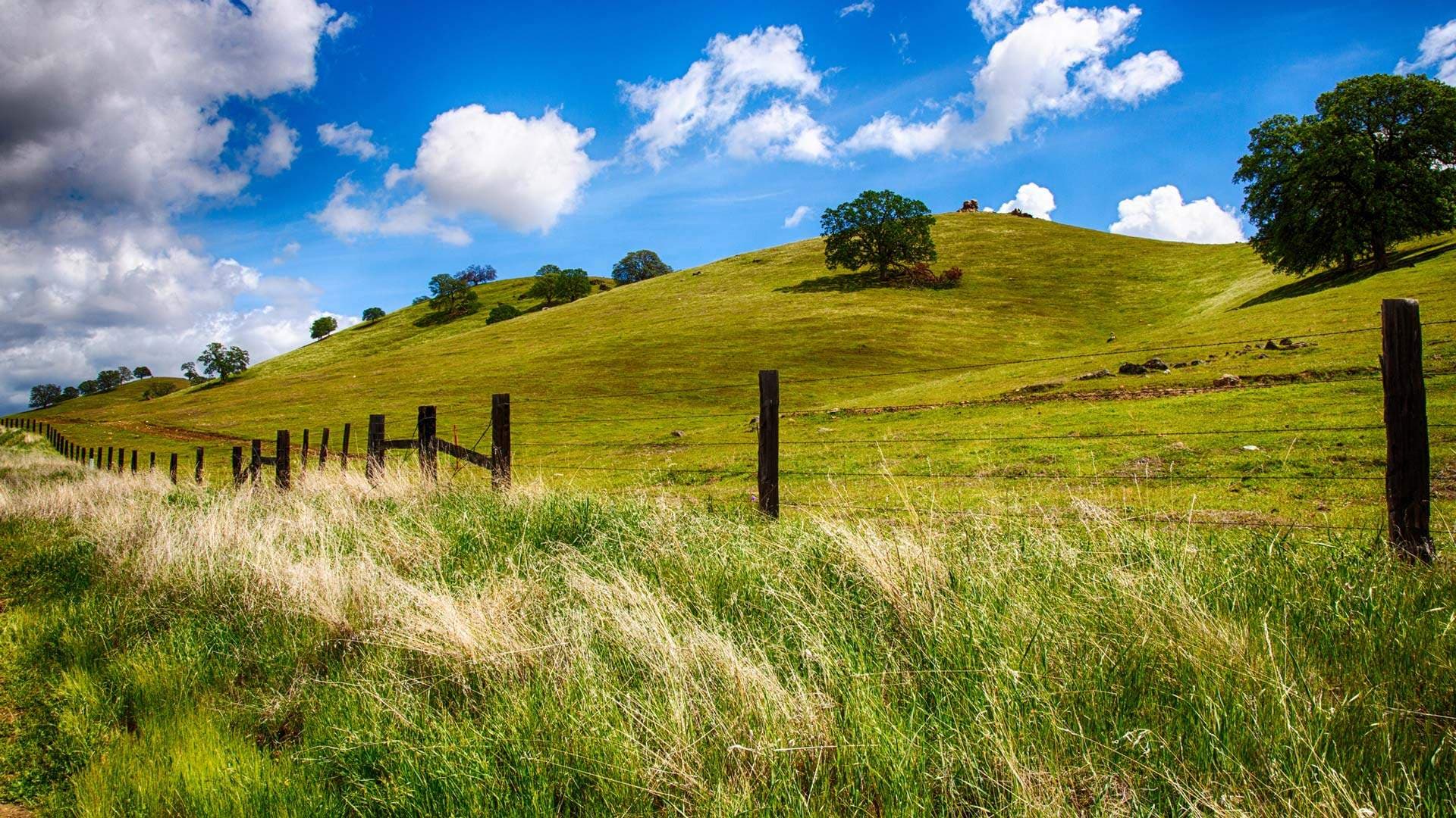 Tehama County