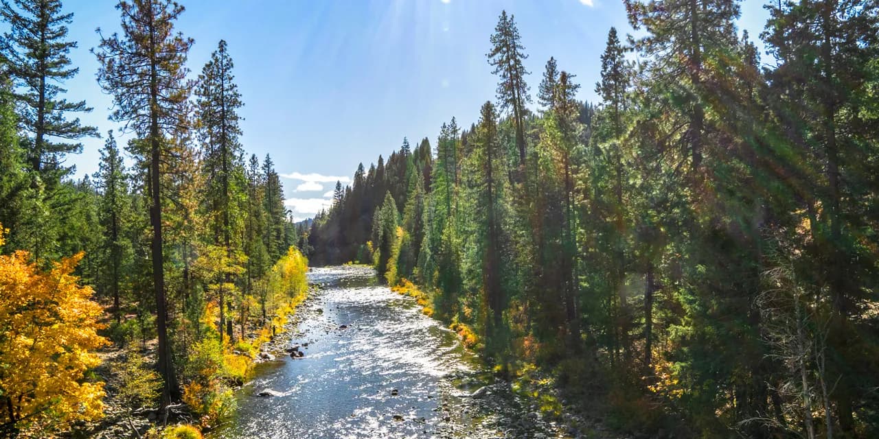 Trinity County